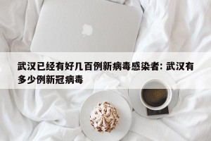 武汉已经有好几百例新病毒感染者: 武汉有多少例新冠病毒