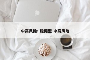 中高风险: 稳健型 中高风险