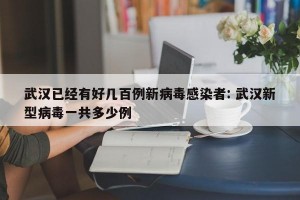 武汉已经有好几百例新病毒感染者: 武汉新型病毒一共多少例